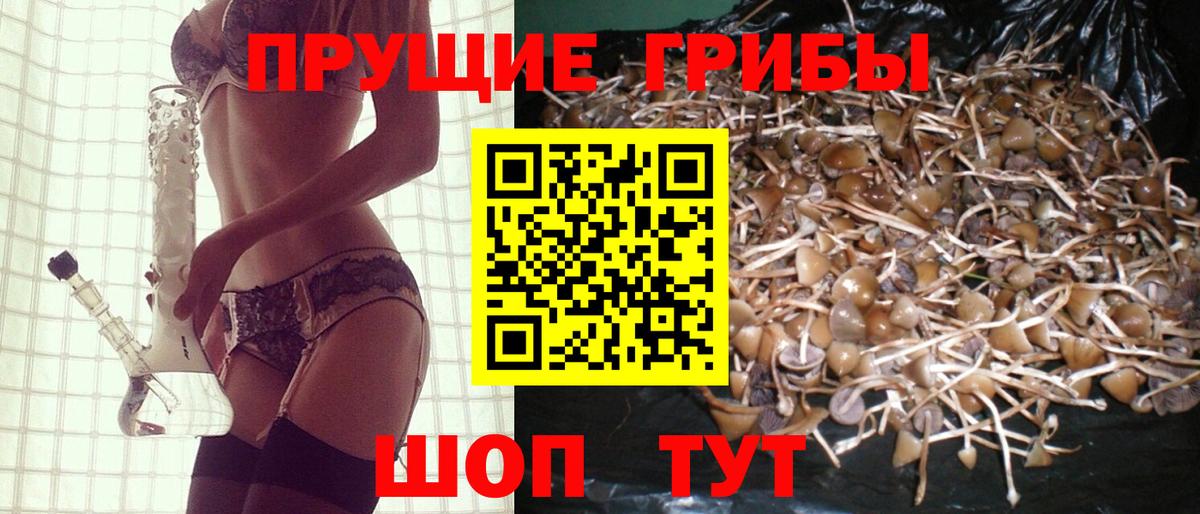 Псилоцибиновые грибы Magic Shrooms  Вход с VPN  Заинск 